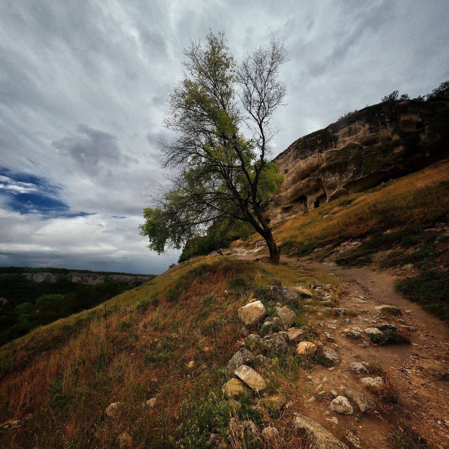 Nikon d600, Горы, Крым, Лето, Пейзаж, Природа, Алексей Никонов