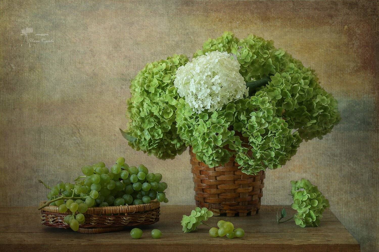 Ваза, Виноград, Гортензия, Цветы, Инна Сухова