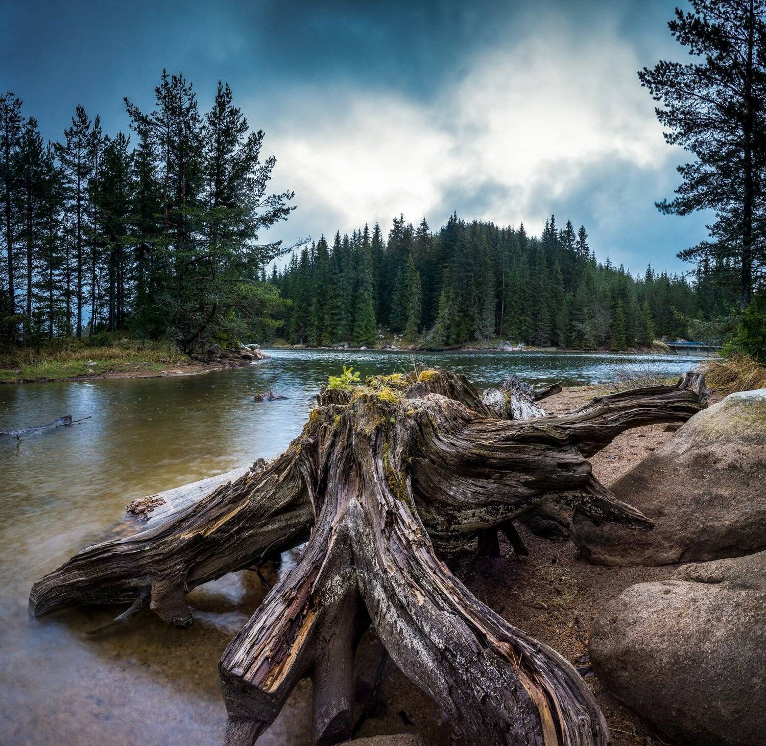 , Илияна Шишкова