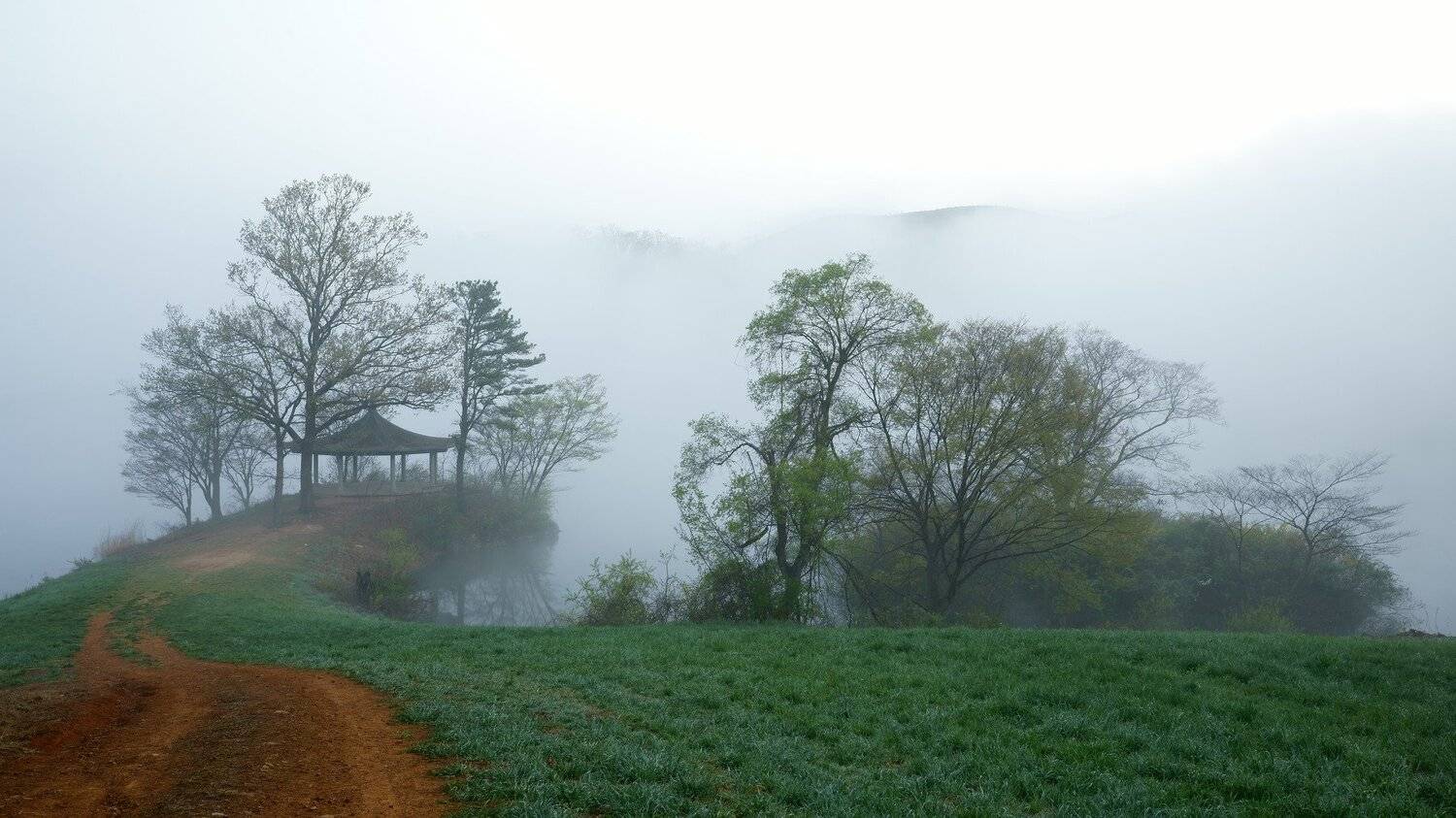 asia, south korea, korea, landscape, reservoir, fog, morning, nature, pavilion, tree, green, grass, mountain, path, springtime, , Shin