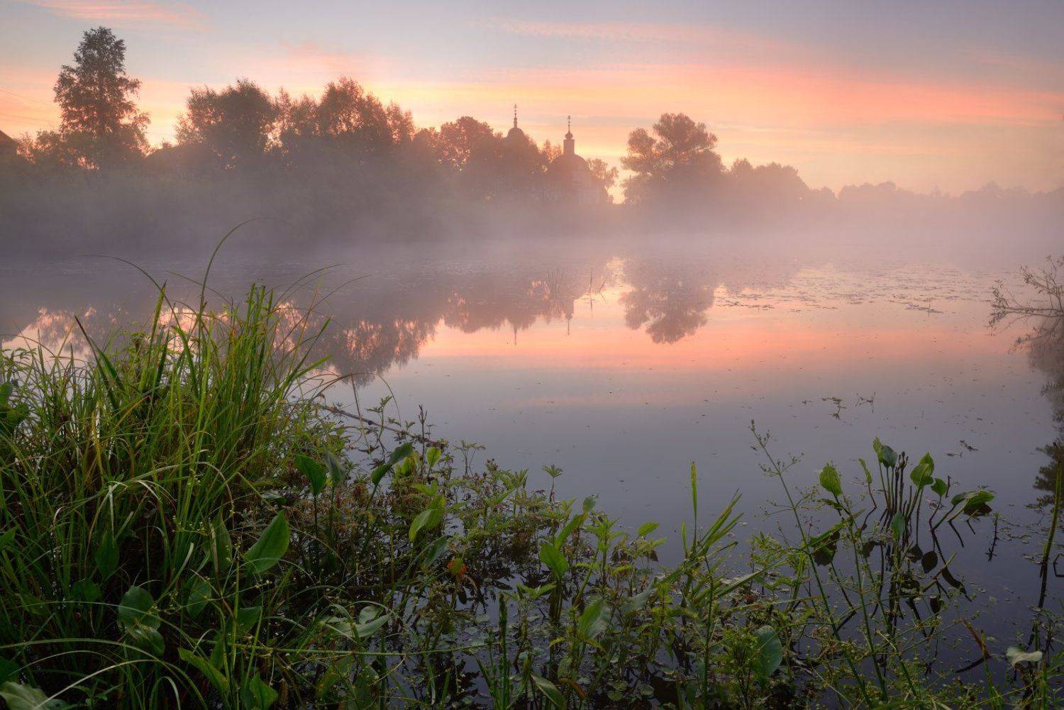 , Максим Евдокимов ( www.wildphotorus.ru )