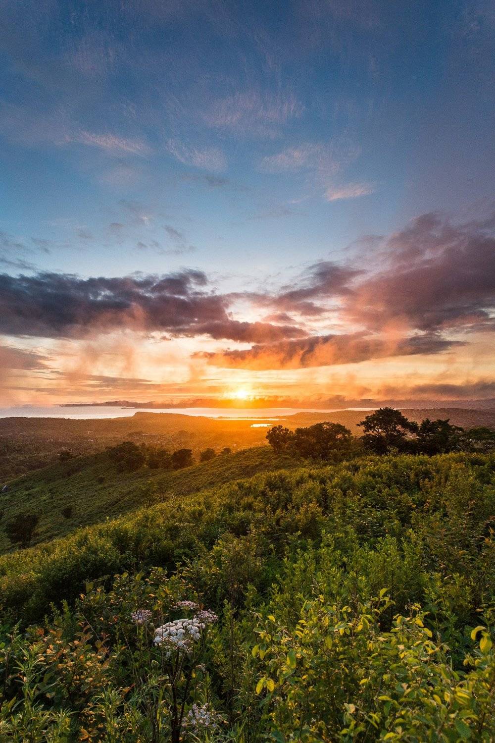 закат, небо, солнце, облака, море, цвет, свет, сопки, лес, деревья, туман, высота, Alexey