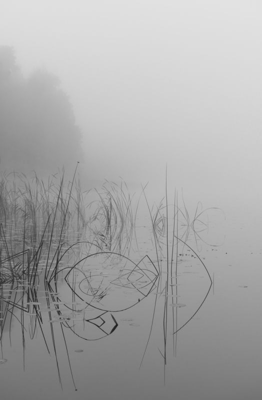 туман, озеро, силуэт, черно-белый Туманное утро. фото превью