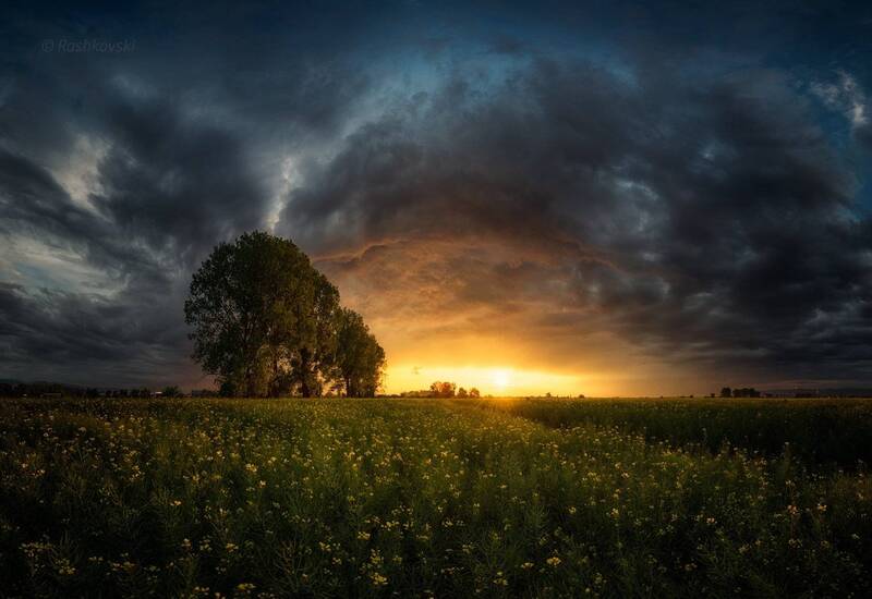 Spring Apocalypse