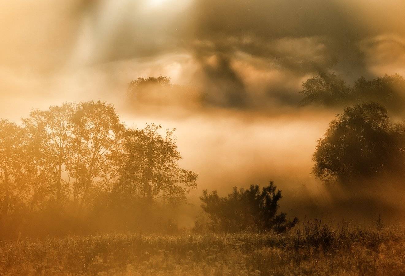 , Владимир Перепечаев