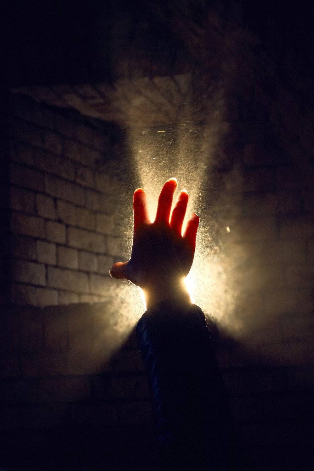 , Медведев Александр