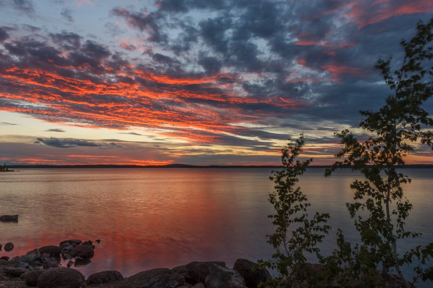 , Потапов Артём