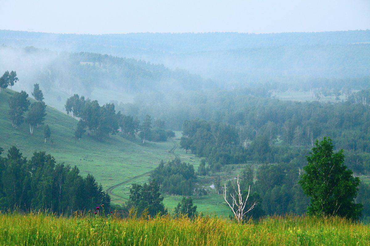 , Николай Морский