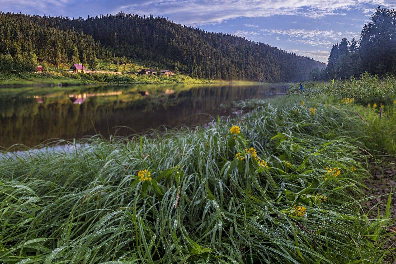 река, трава, вечер, роса, отражение, Савицкий Ян