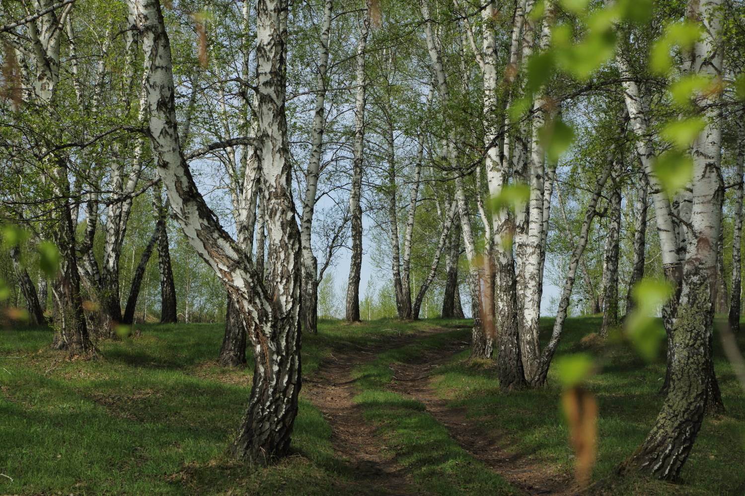 , Евгений Зинов