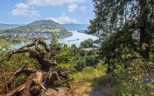 Германия, Рейн, Боппард
