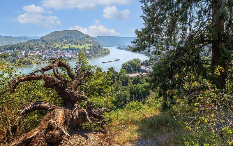 рейн, боппард, boppard, rein Германия, Рейн, Боппард фото превью