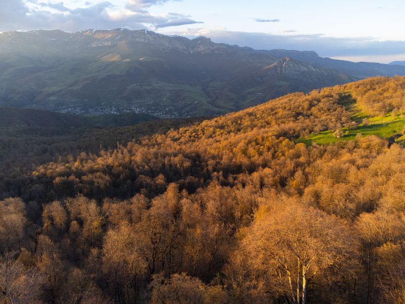 армения, весна, горы, кавказ Дилижанский национальный парк в апреле, Армения.  фото превью