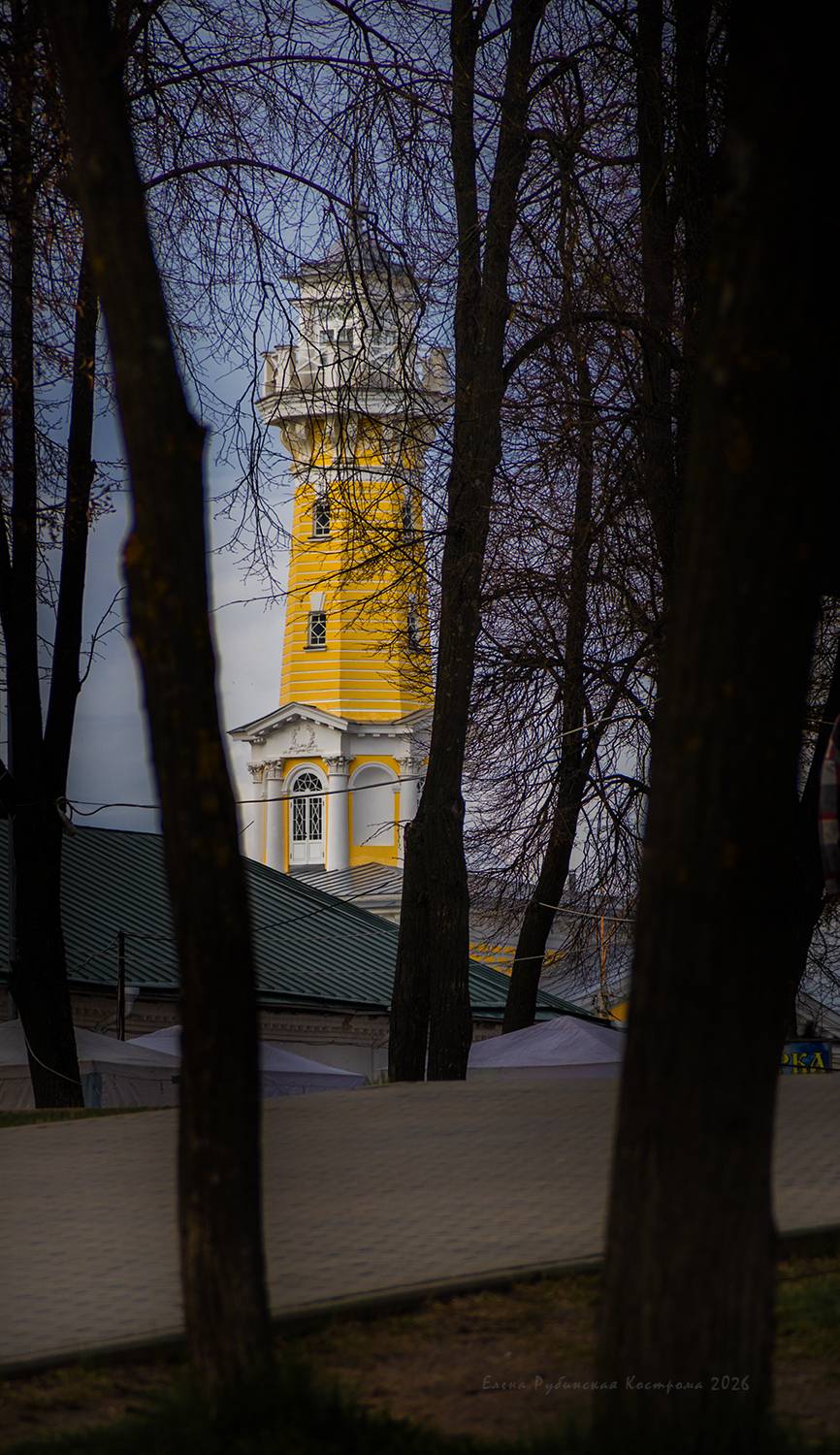 кострома, Елена Рубинская