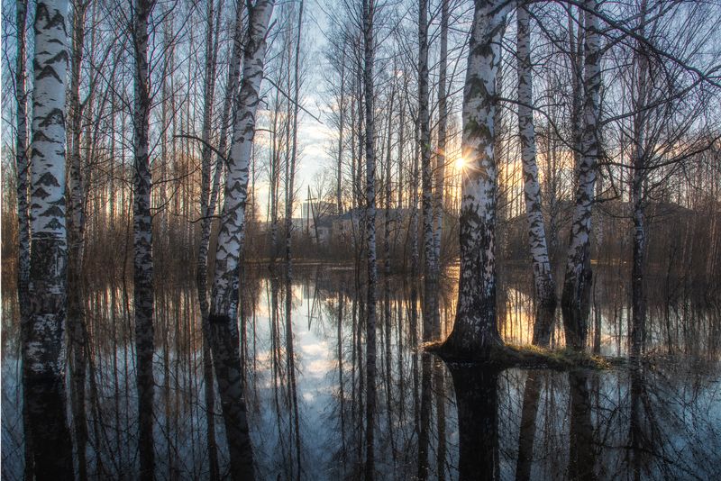 Половодье фото превью