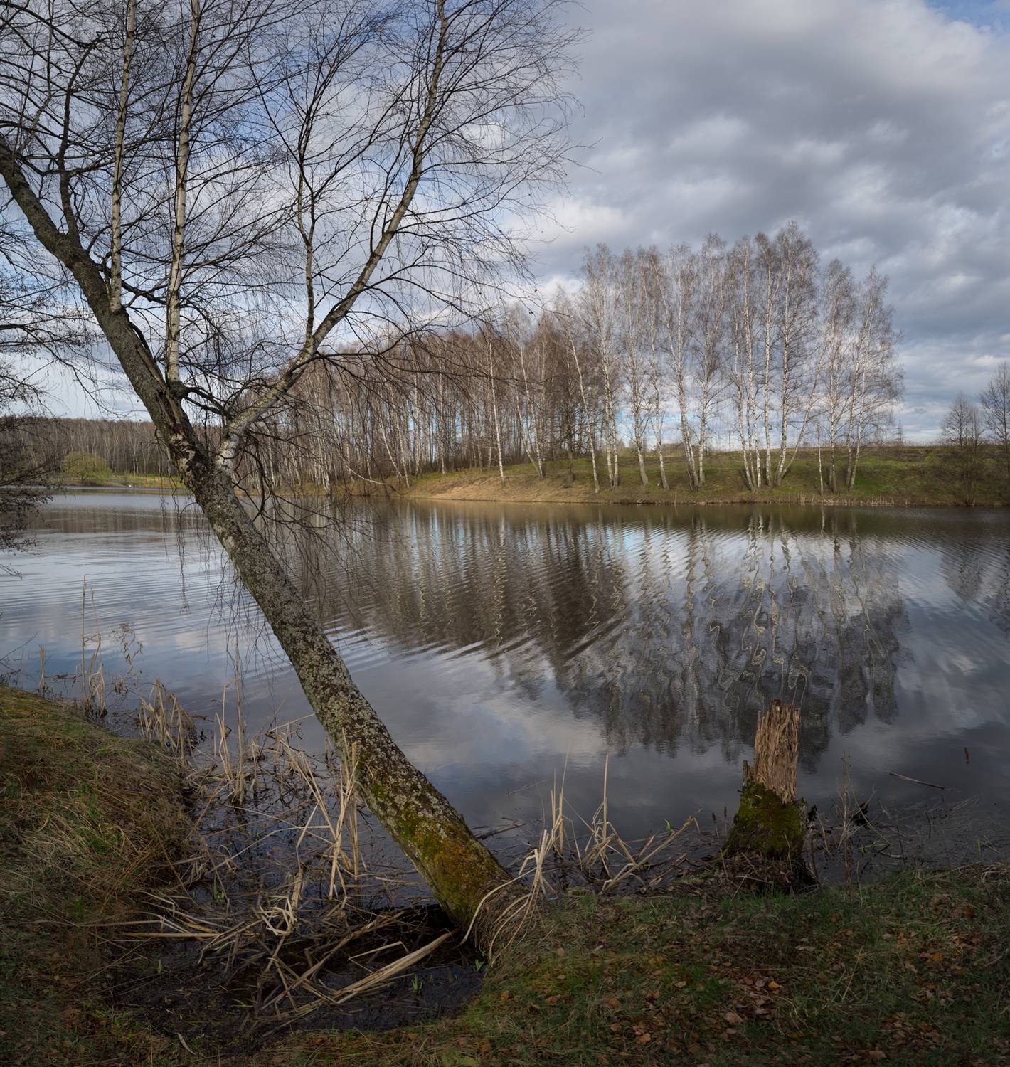 весна, озеро, облака,  Ольга