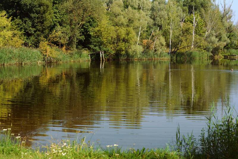 Дыхание осени. фото превью