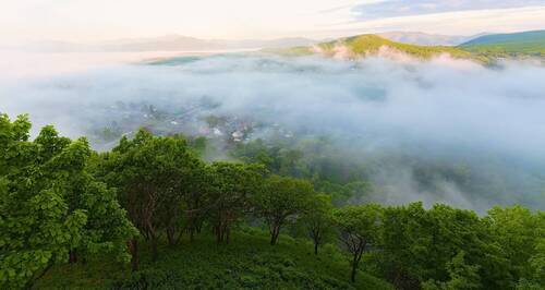 туманная панорама