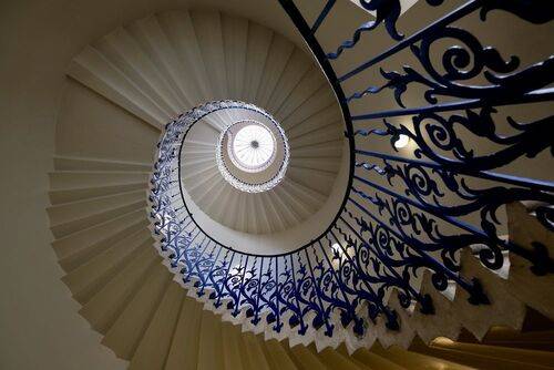 Голубой тюльпан