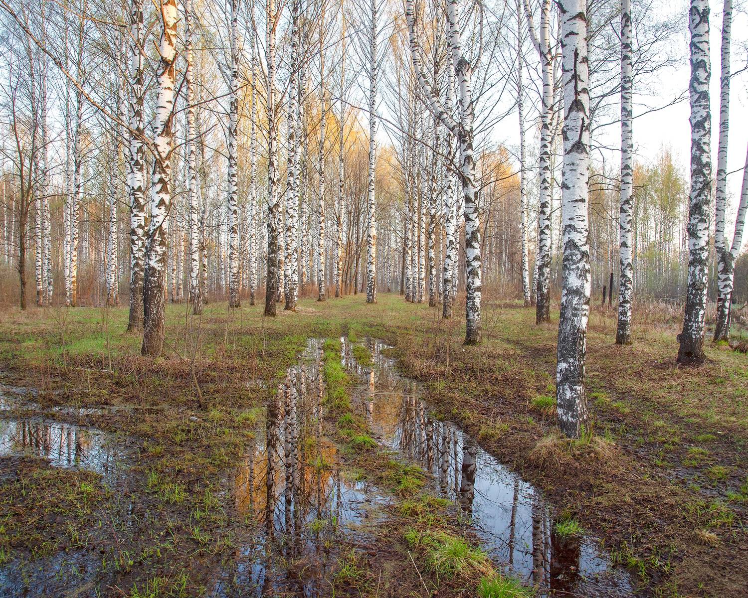 , Карепанов Евгений