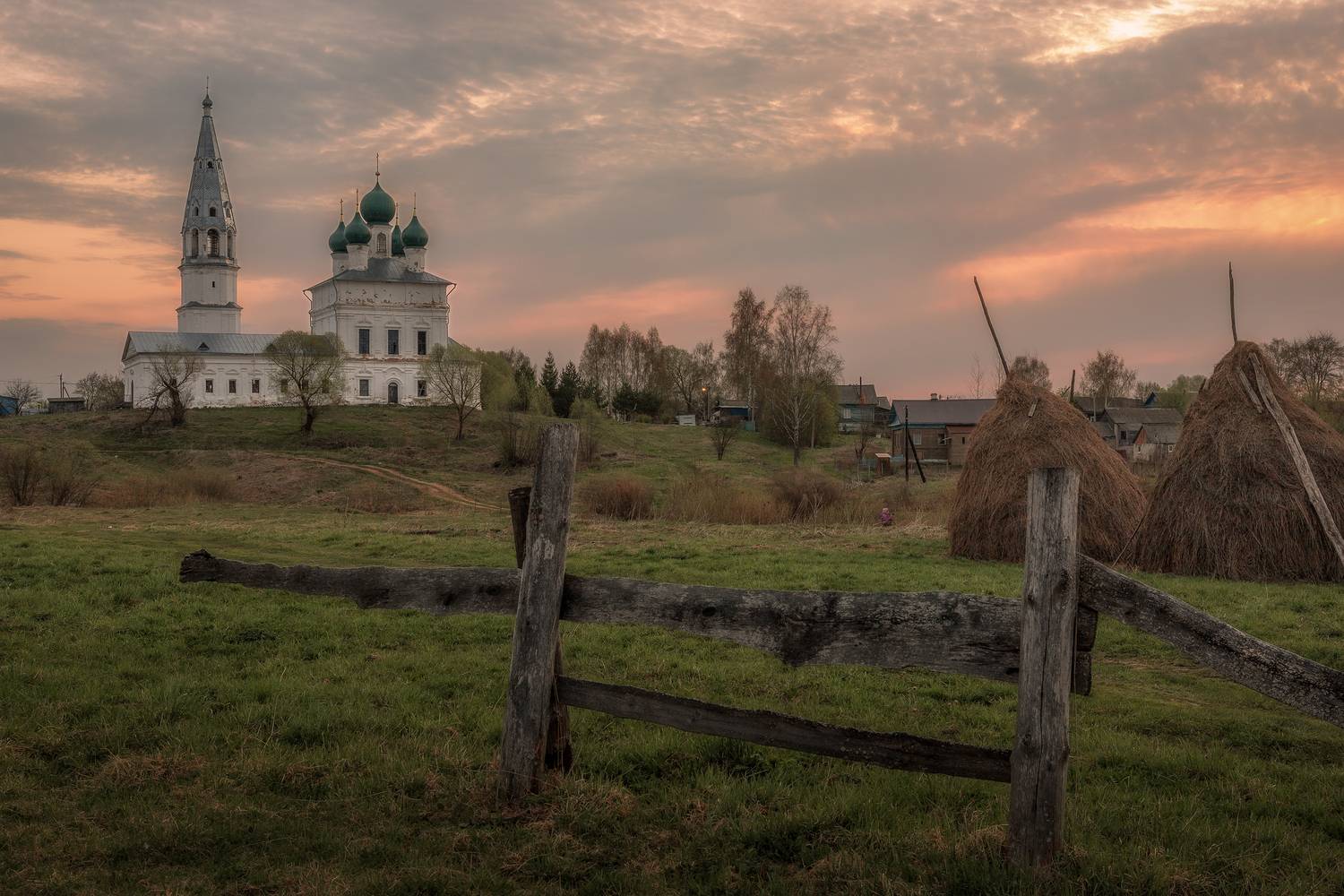 Ярославская, область, Елена Гусева