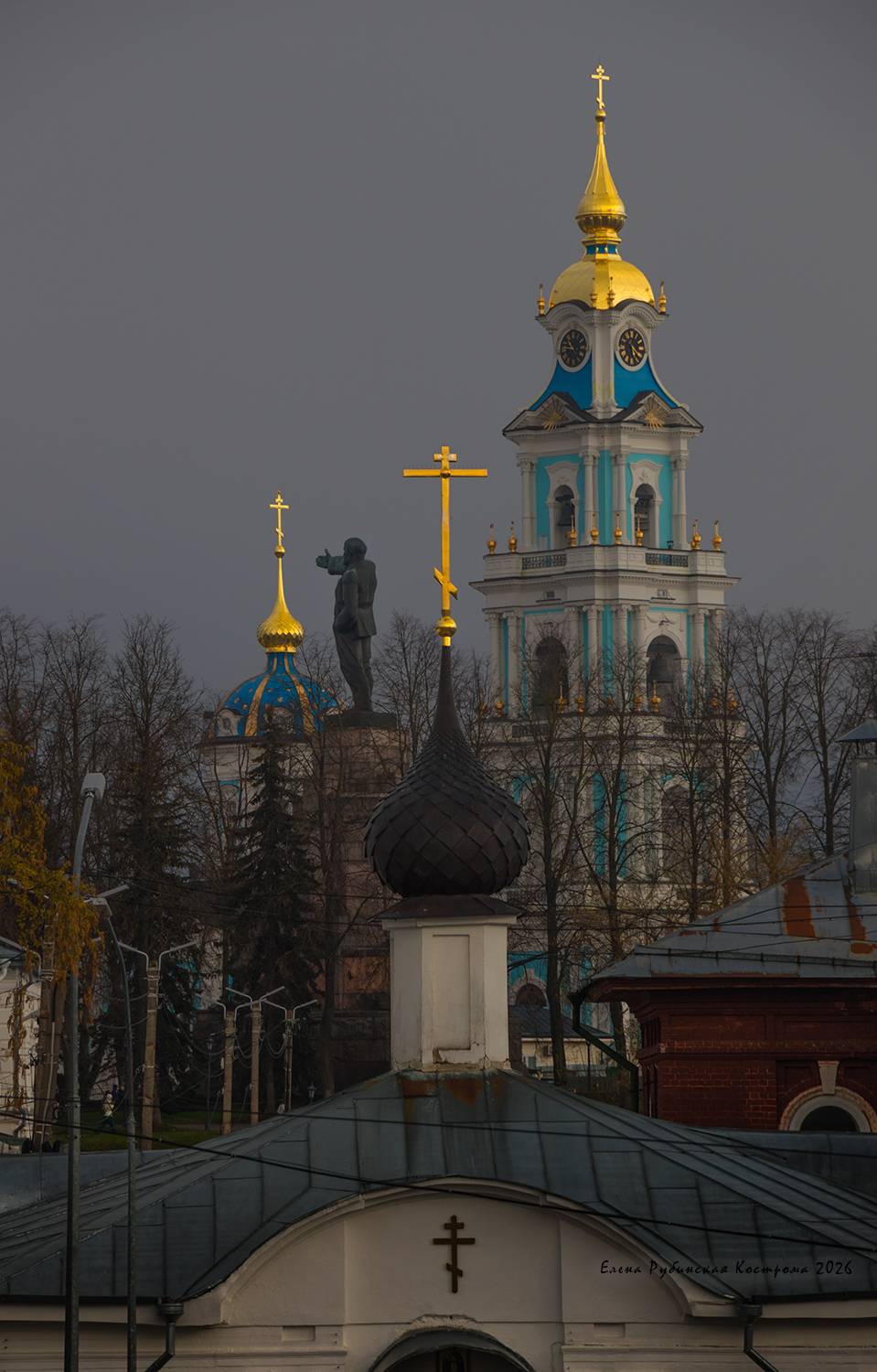 кострома, Елена Рубинская