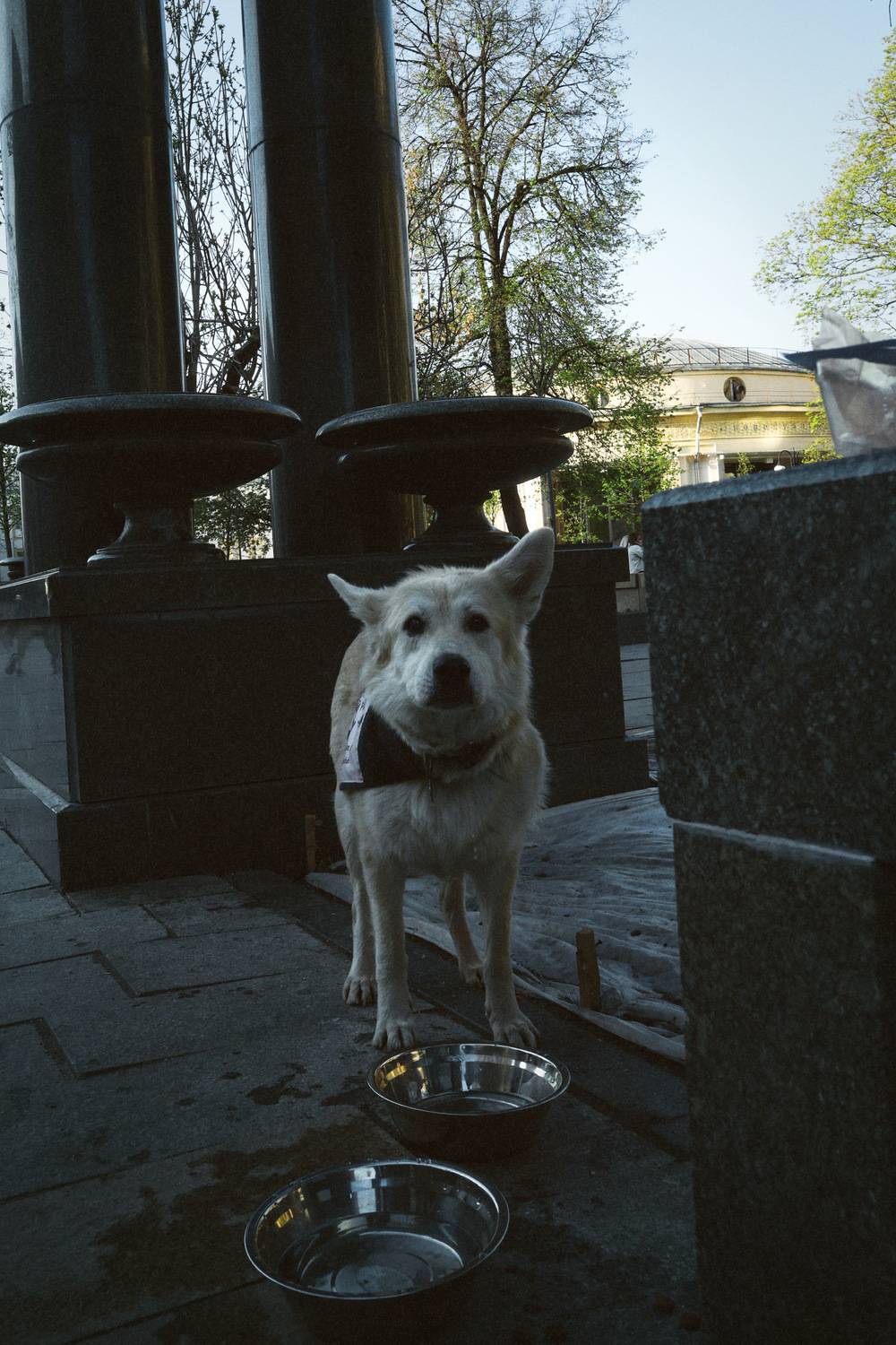 , Щеглова Марина