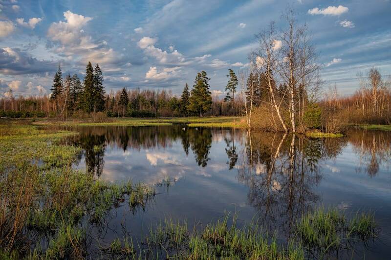 ** фото превью