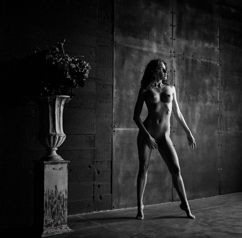 nude, fineart, monochrome, black, white, contrast, shadow, light, figure, female, body, studio, chiaroscuro, art, photography Where Shadow Learns the Body (Dora M. 4) фото превью