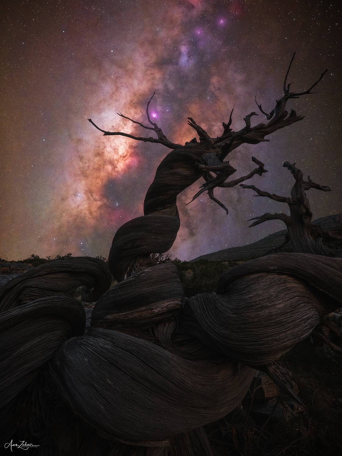 oman, photography, tree, outdoor, night, stars, milkyway, travel, nature, astrophotography, Aws Zuhair