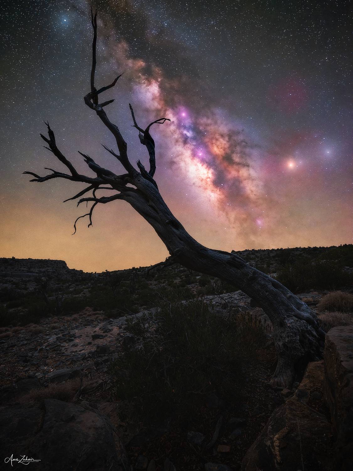 nature, landscape, photography, outdoor, night, astrophotography, milkywyay, galaxy, oman, jebel shams, tree, Aws Zuhair