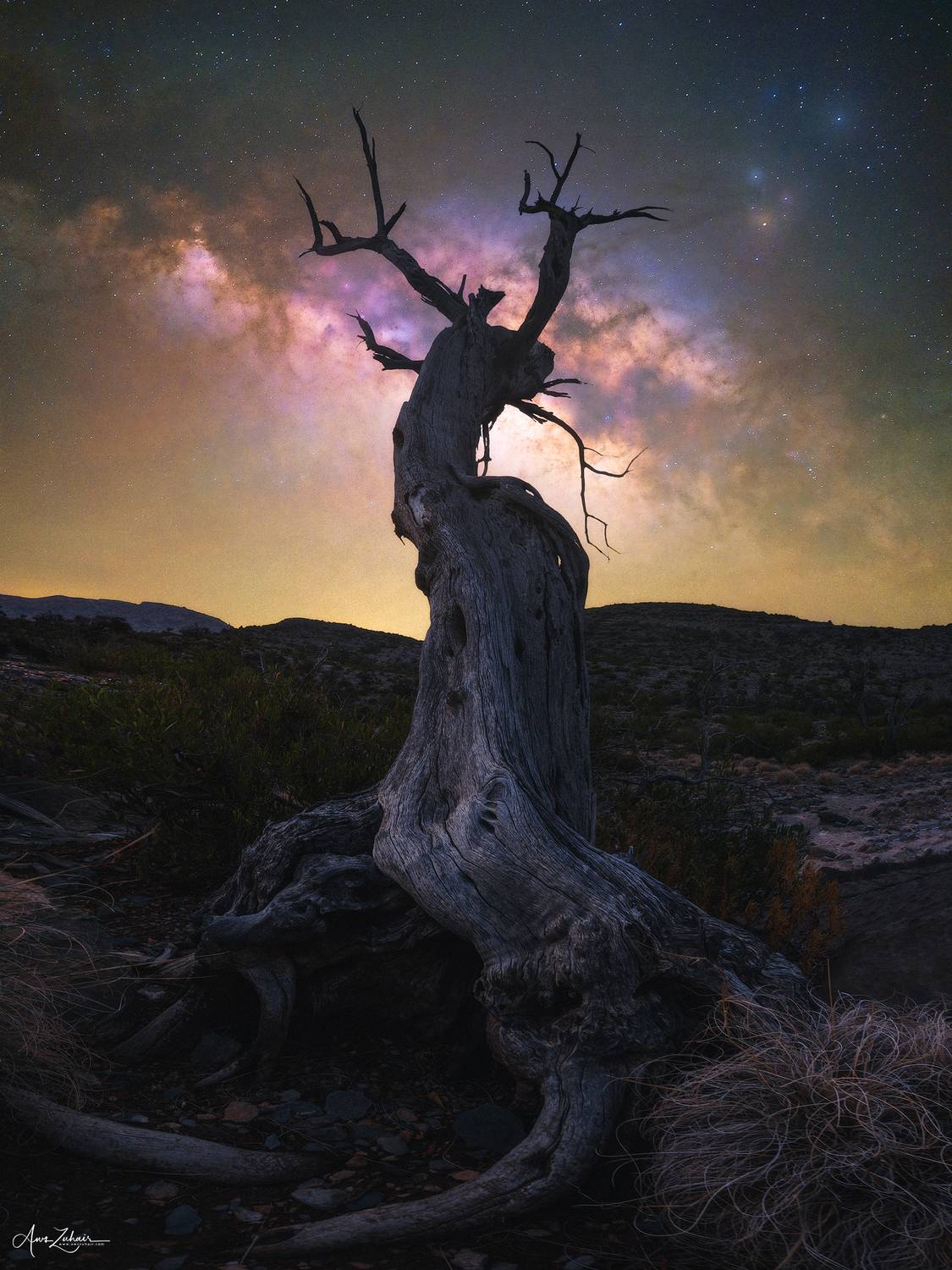 night, astrophotography, milkyway, photography, landscape, tree, mountain, jebel shams, oman, Aws Zuhair