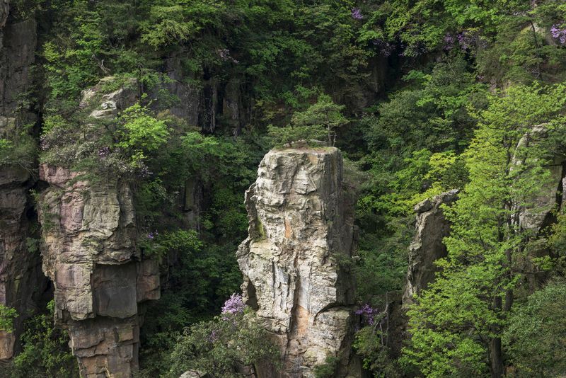 Zhangjiajie National Forest Park, China фото превью