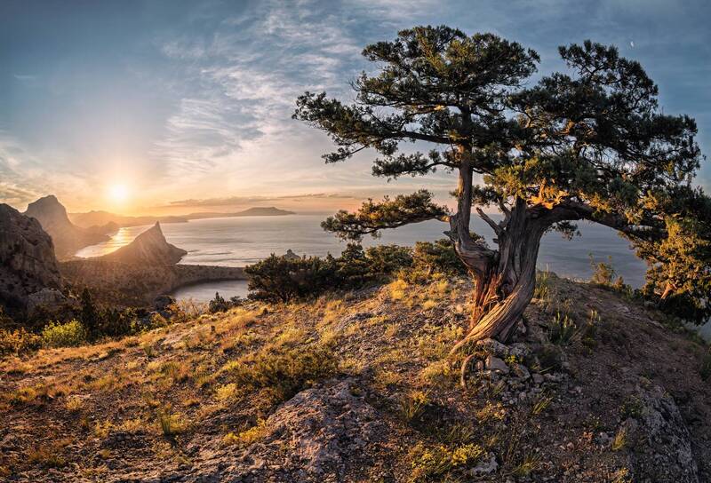 ** фото превью