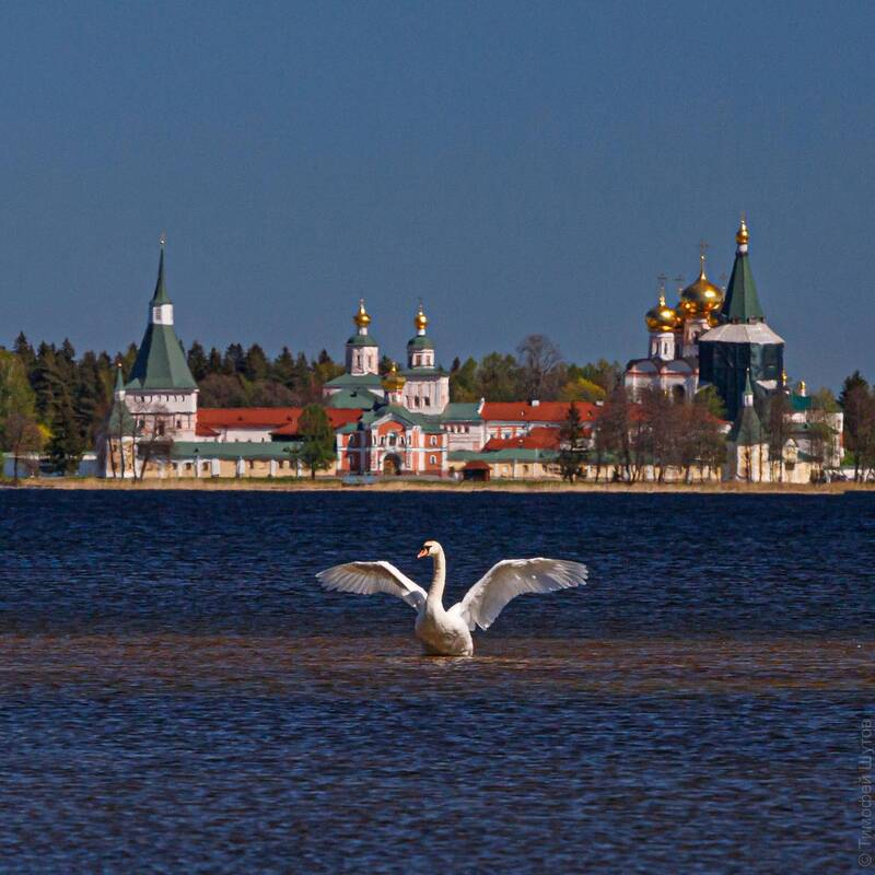 — Крылья подъём, перо на просушку! фото превью