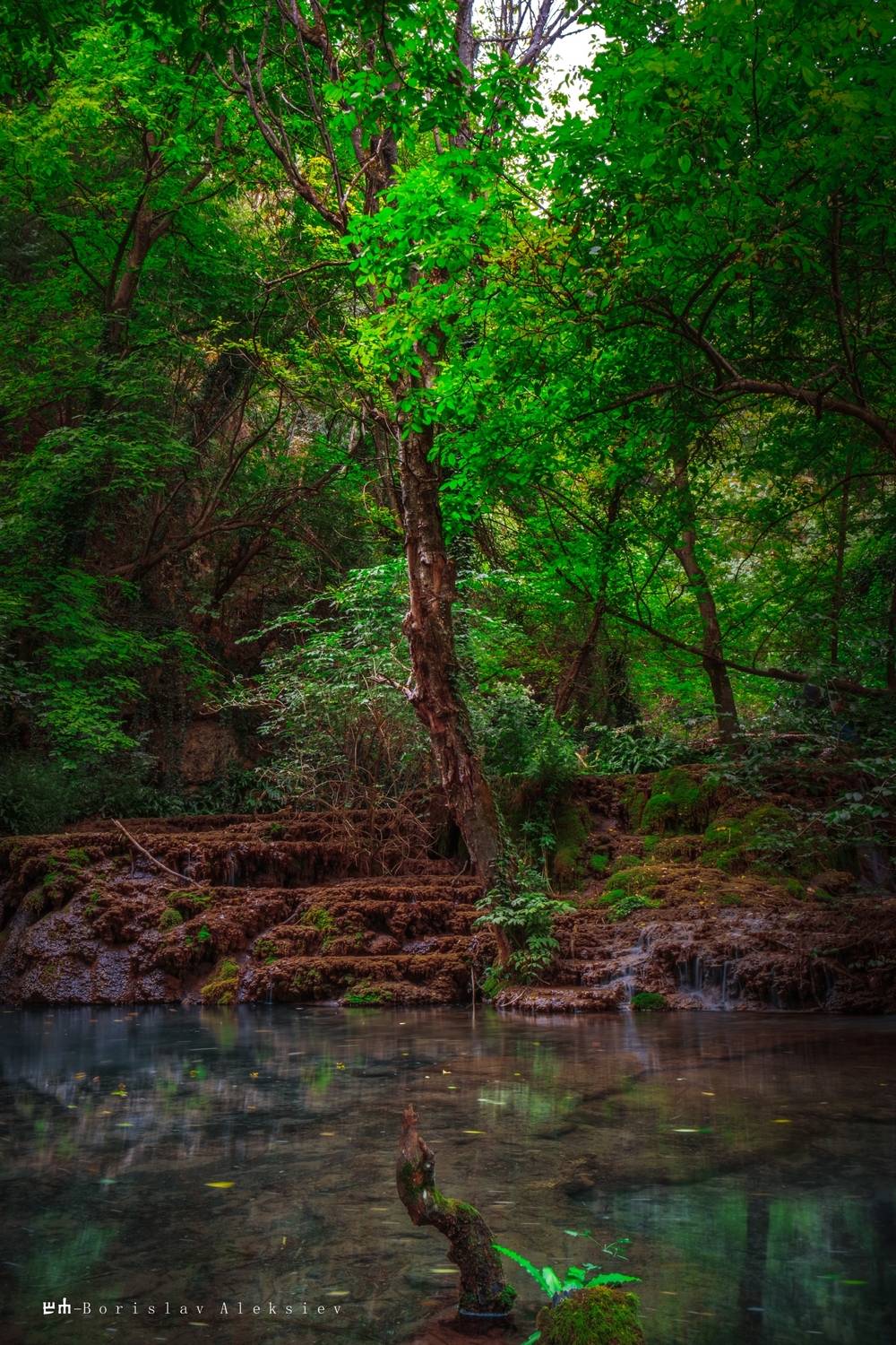 green, water, nature, light, Алексиев Борислав