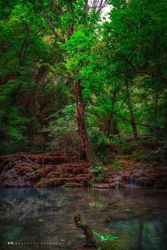 green, water, nature, light Green фото превью