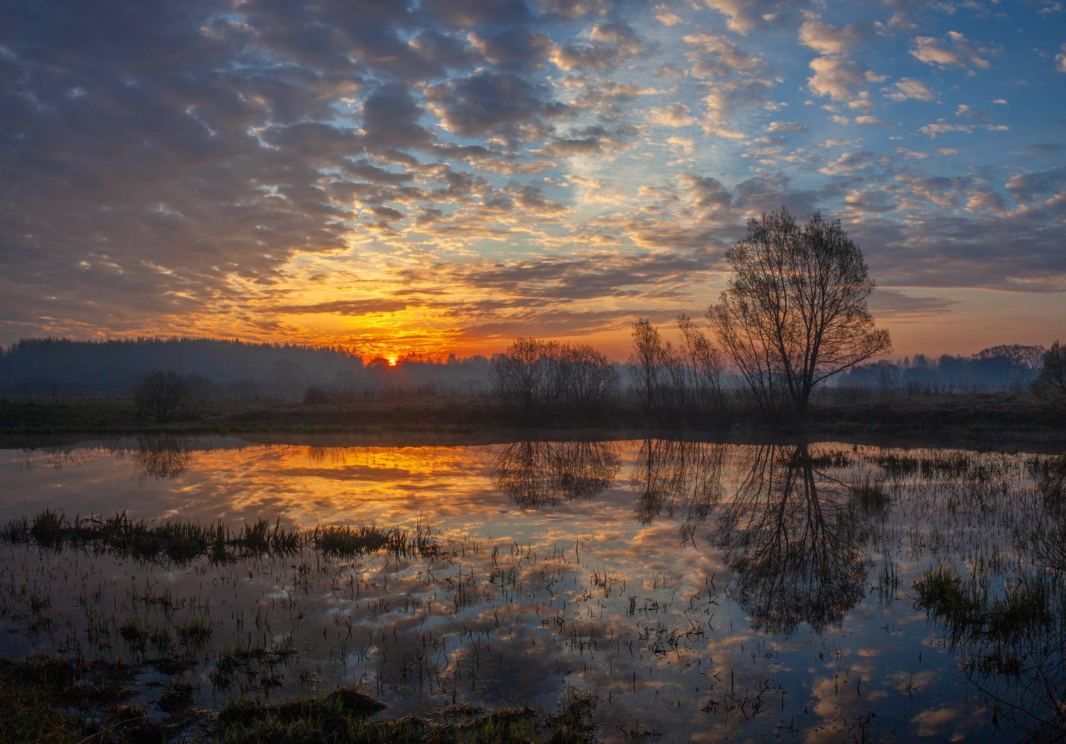 рассвет, весна, Свистков Александр