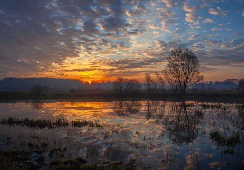 рассвет, весна  фото превью