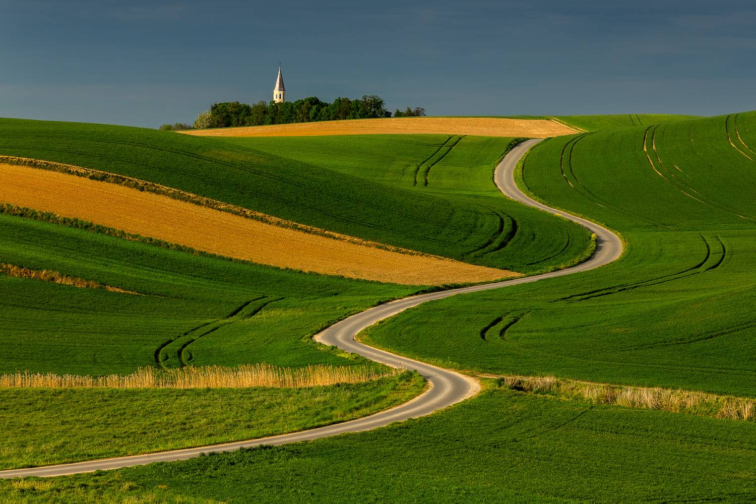, Pawel Uchorczak