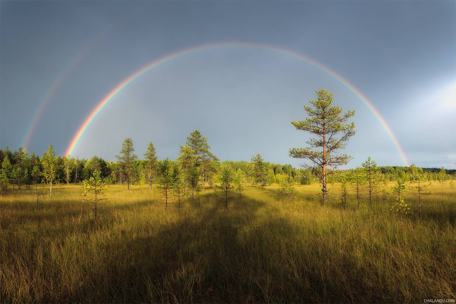 пейзаж, радуга, дождь, болото, лето, Иван Чаланов