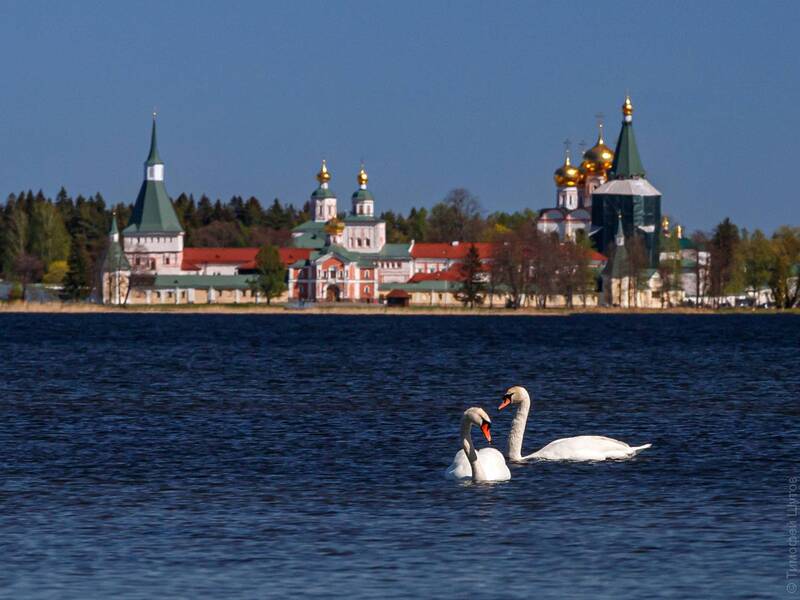 валдай Сладкая парочка фото превью
