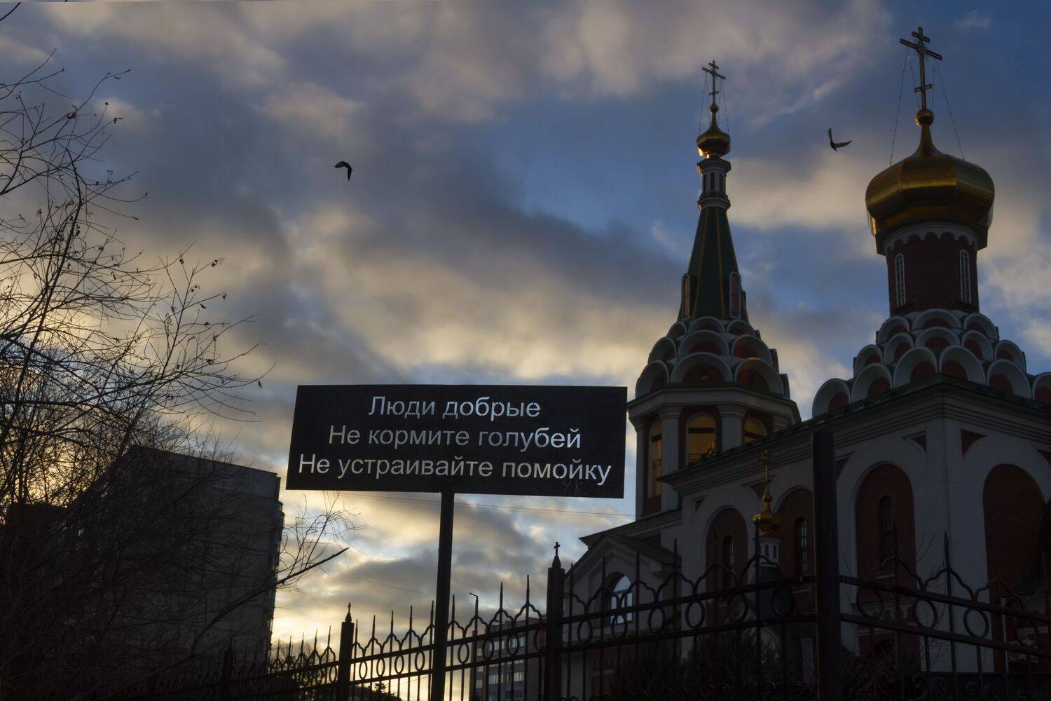 церковь, храм, небо, птицы, вечер, Федюков Алексей