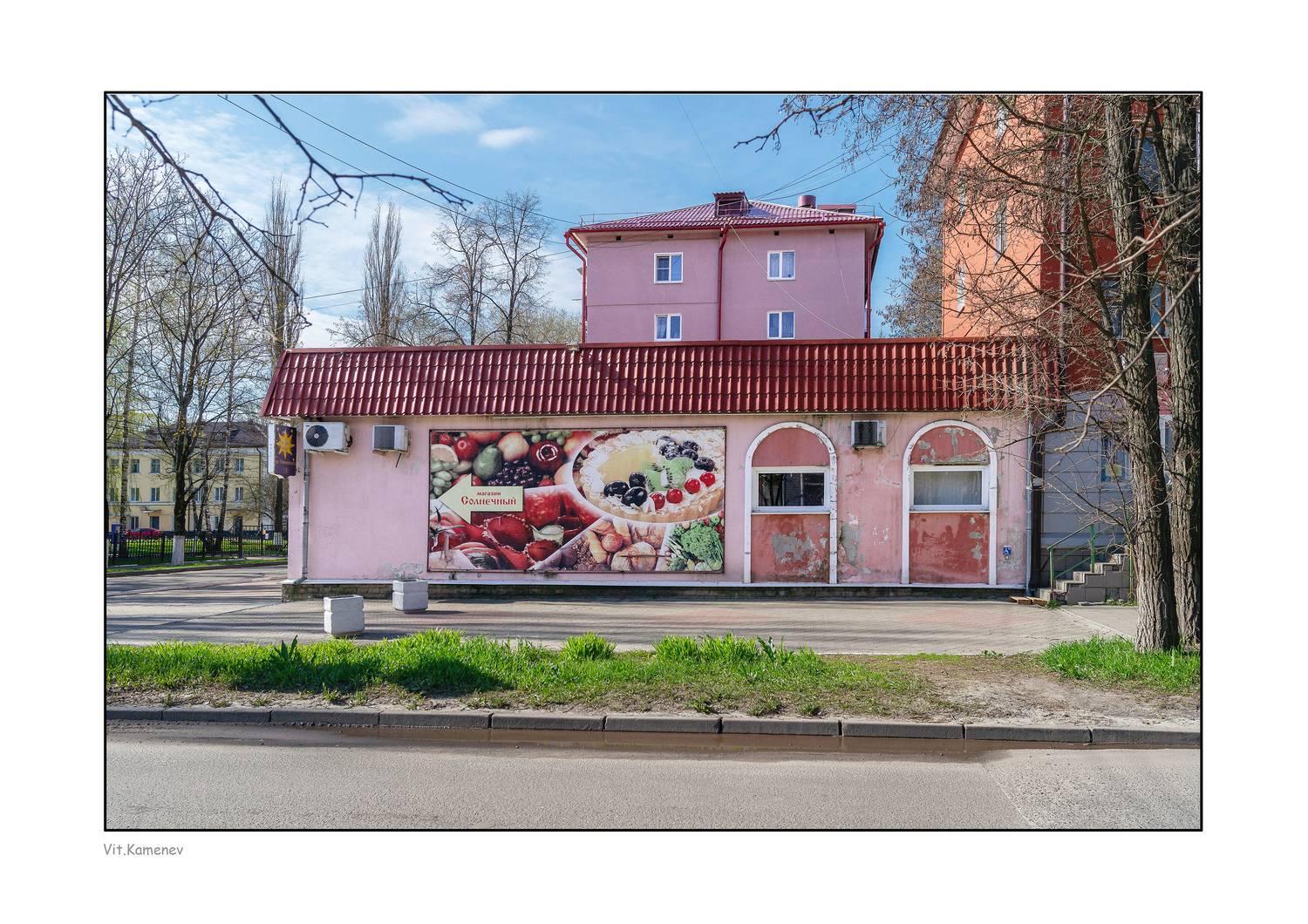 , Каменев Виталий