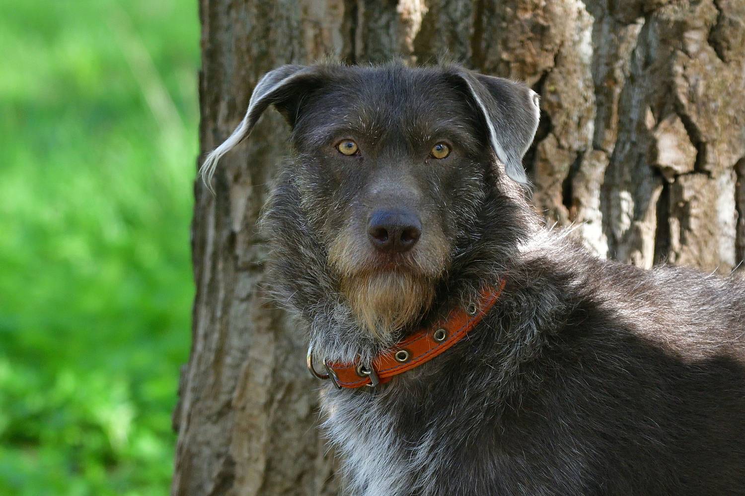 , Корнейчук Игорь