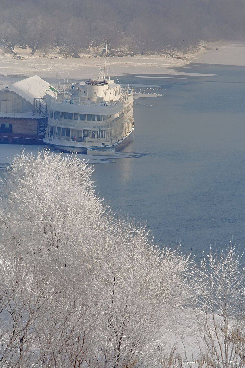 , Андрей Петросян