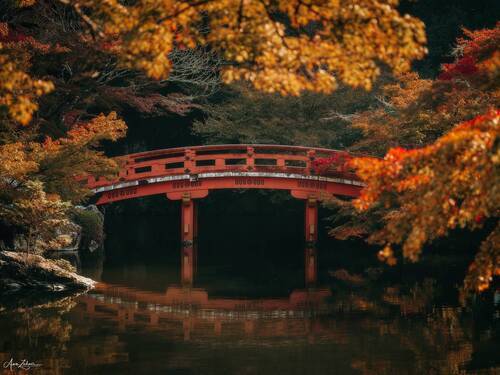 Bridge