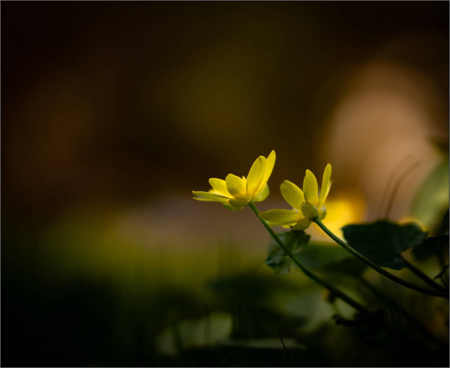 природа, Виктор Парщиков
