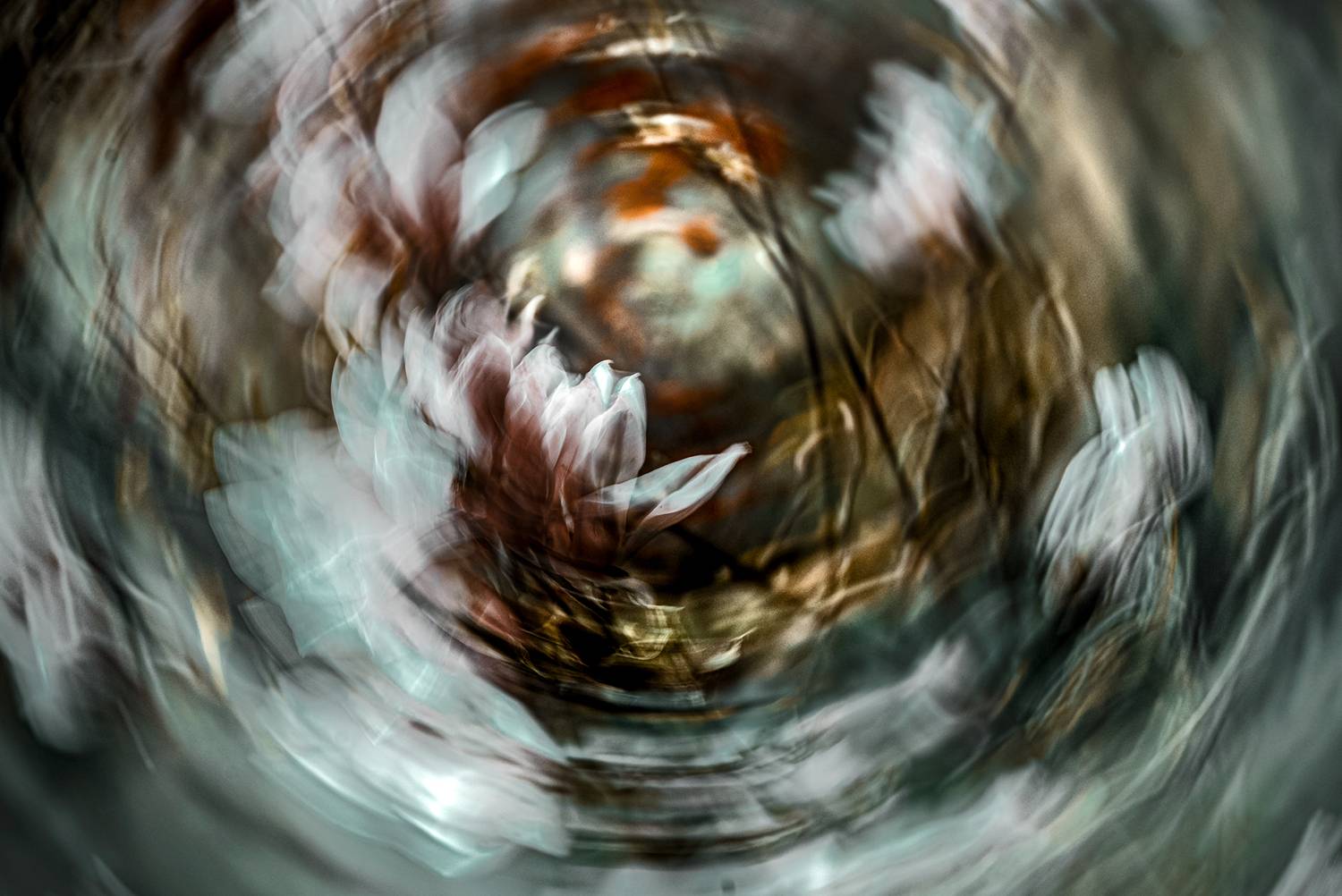 icm, Неля Рачкова