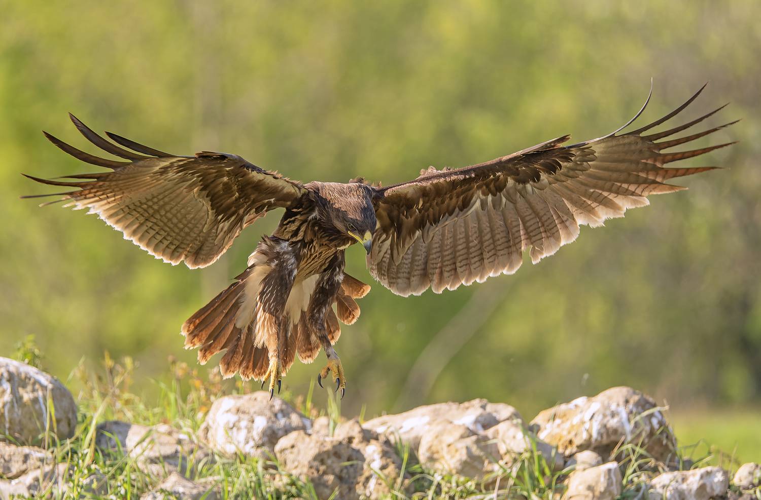 Автор: Sergey Zlatkov , Sergey Zlatkov